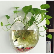 Aquarium for Betta Fish - 1-Gallon Clear Bowl, Wall Mounted with Plant Bubble, Decorative Fish Tank