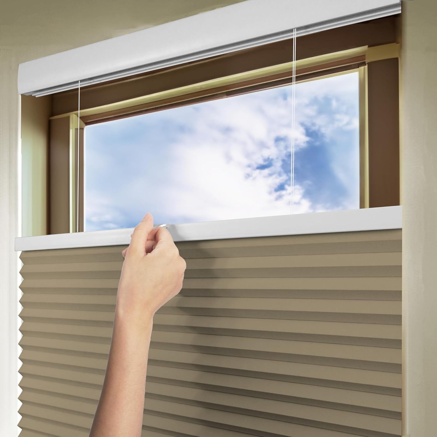 Chicology Sand Blackout Cordless Top Down Bottom Up Cellular Shades 27.75 in. W x 72 in. L