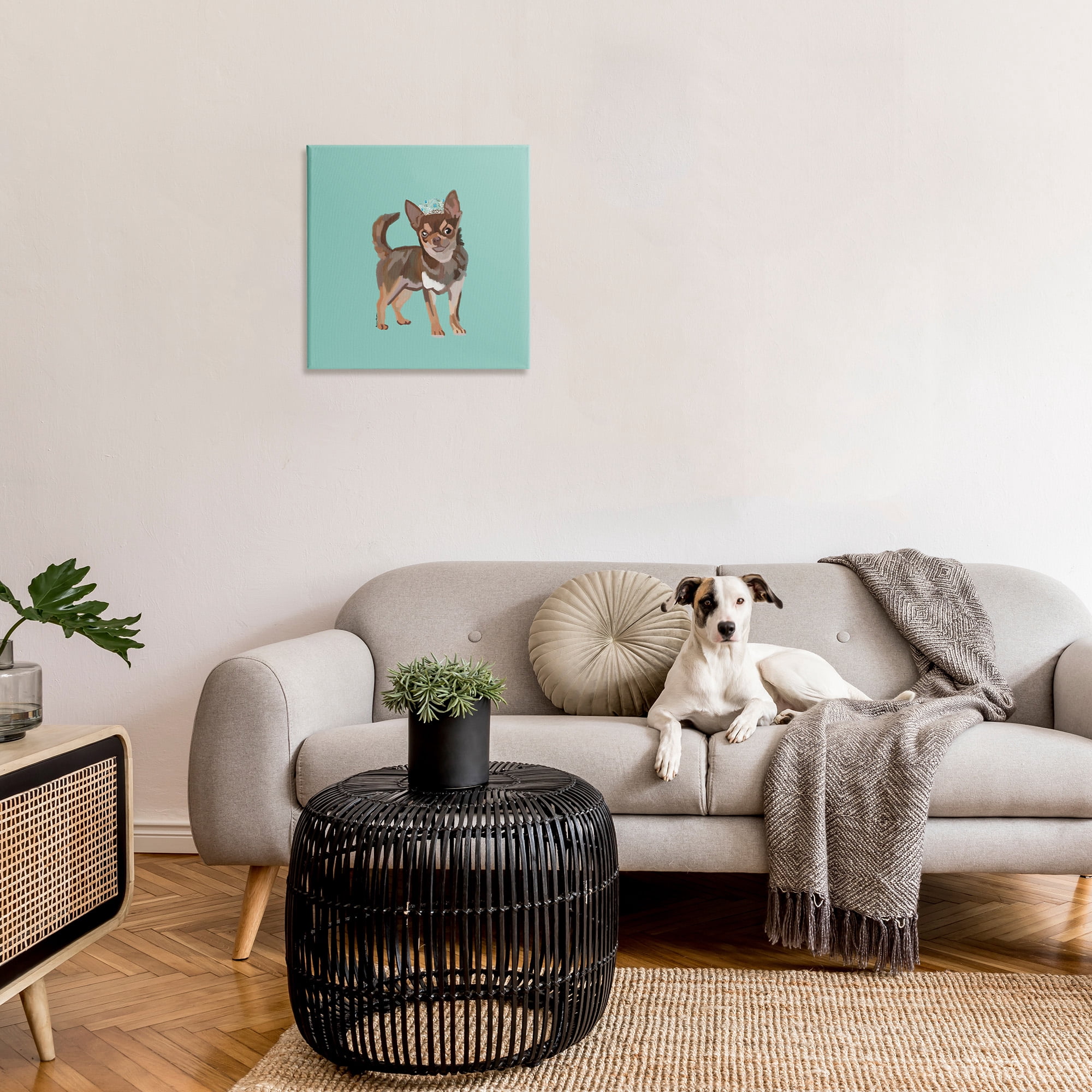 Stupell Industries Chihuahua with Crown Animals & Insects Painting Gallery Wrapped Canvas Art Print Wall Art, 24 x 24