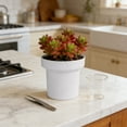 thumbnail image 4 of HOZVOMI Modern Round Succulent Planter, Lightweight Desktop Pot for Home and Garden Decor, 4 of 6