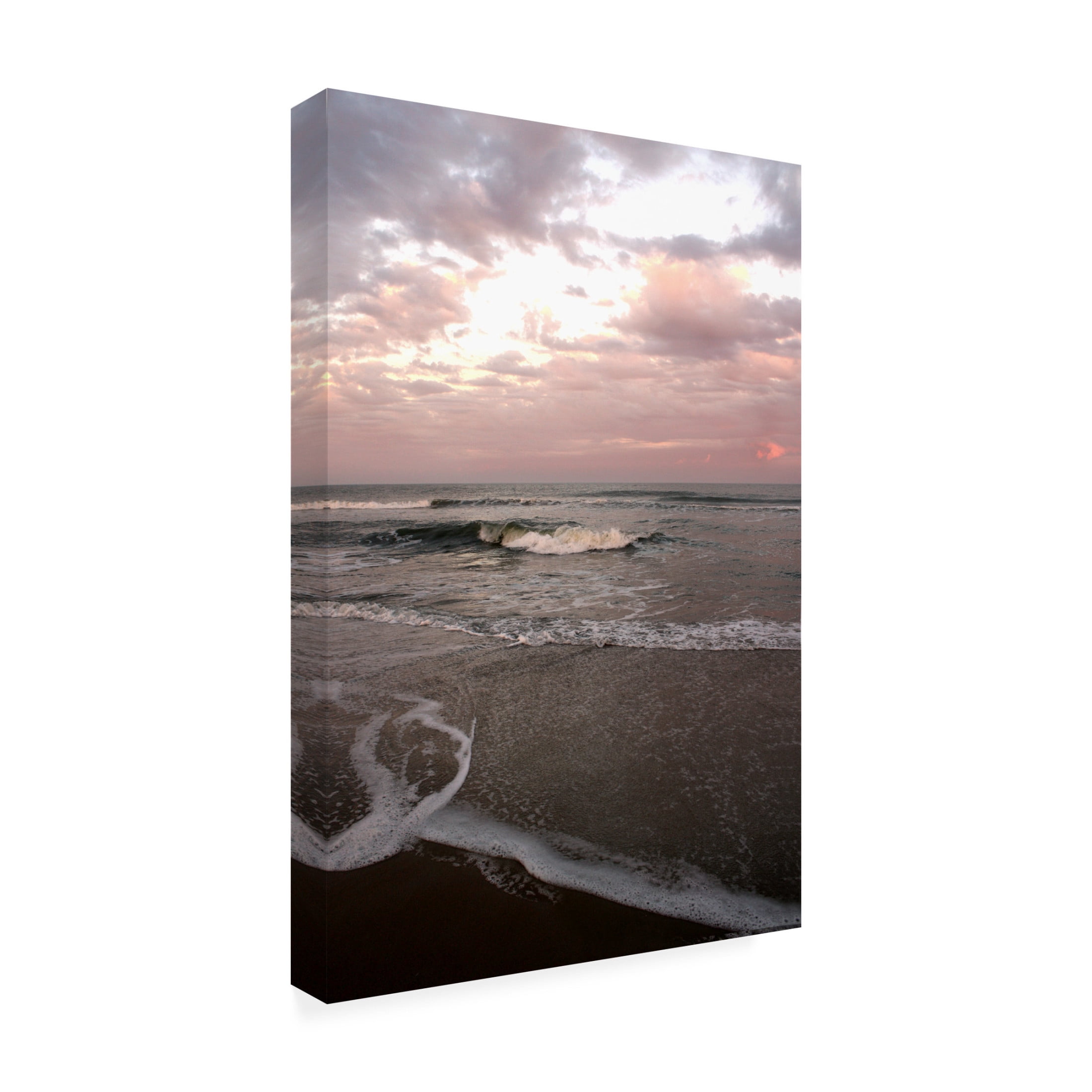 Canvas Wall Art - DANE 'Beaches 20' Wall Art for Living Room, Bedroom, or Office Décor by Trademark Fine Art - 16 x 24 Inches
