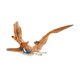 thumbnail image 4 of Dinosaurio de Juguete Mattel Jurassic World Geosternbergia Hammond Collection, 4 of 4