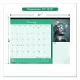 thumbnail image 2 of Pets Collection Monthly Desk Pad, Furry Kittens Photography, 22 x 17, White Sheets, Black Binding, 12-Month (Jan-Dec): 2026 | Bundle of 10, 2 of 5