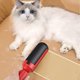 thumbnail image 5 of Cepillo para quitar el pelo de mascotas para perros y gatos, cepillo adhesivo para mascotas Rodillo para quitar el pelo de gatos, rodillo para quitar pelusas para el pelo de mascotas, también para limpiar lana de camas y suéteres Kuyhfg Bienvenido a Kuyhfg, 5 of 5