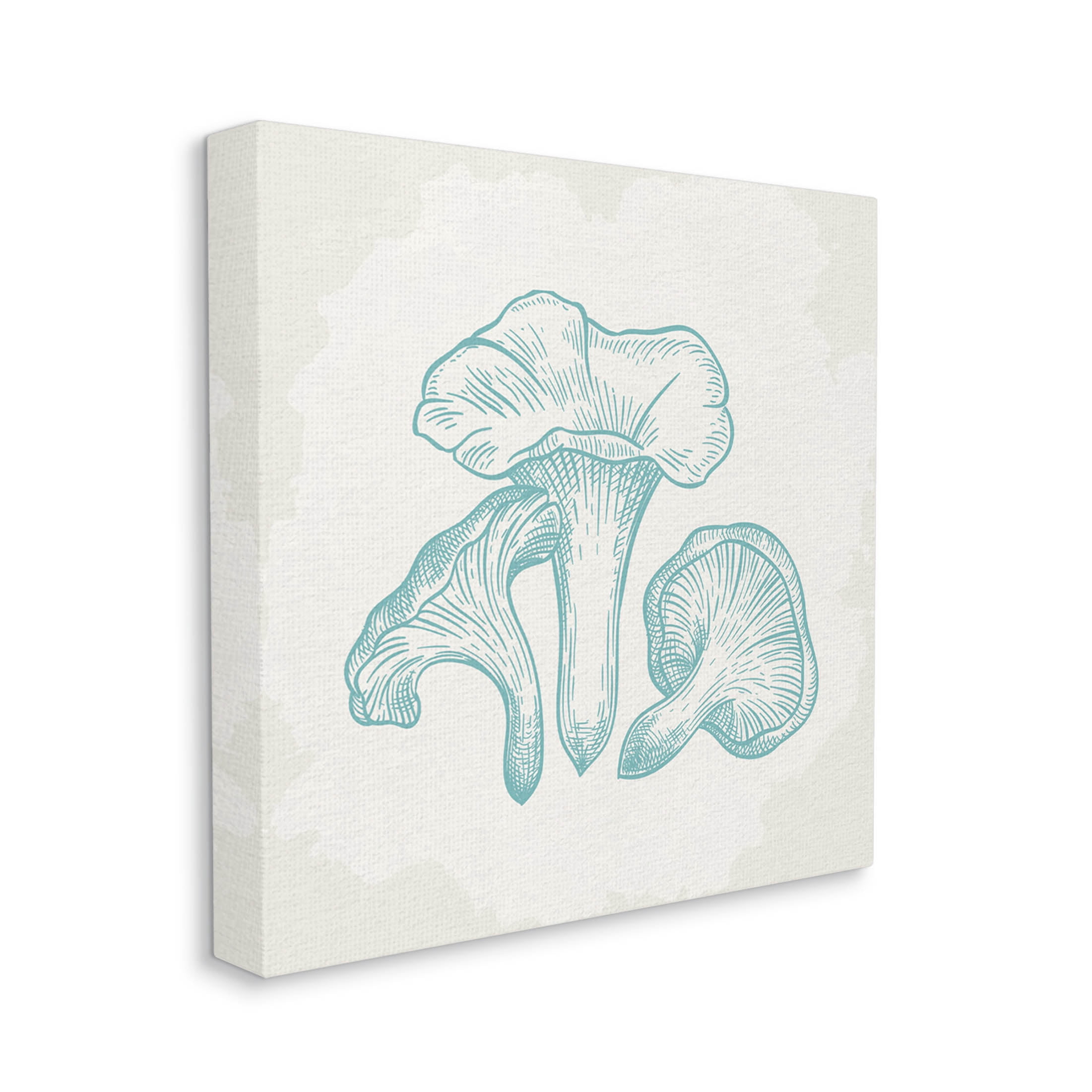 Stupell Industries Detailed Mushroom Specimen Botanicals Graphic Art Gallery Wrapped Canvas Print Wall Art, Design by Kim Allen
