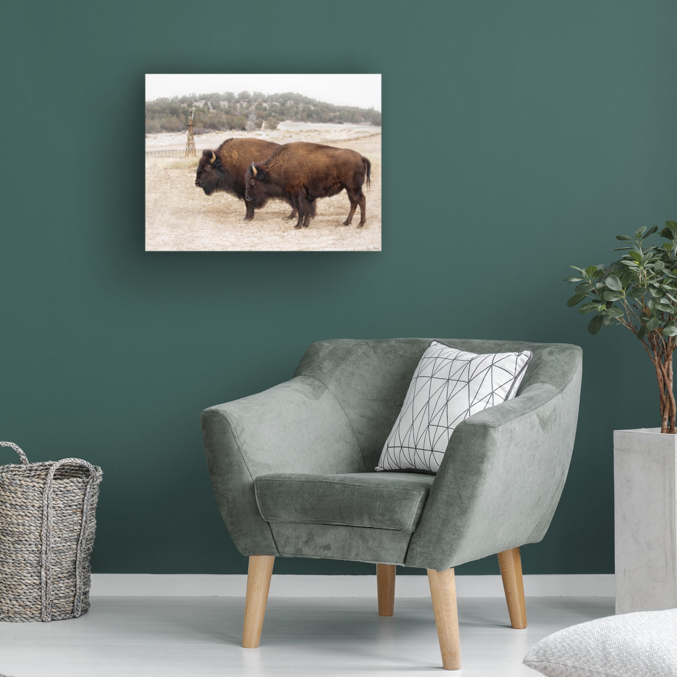 Trademark Fine Art David Drost Twin Buffalo Canvas Wall Art