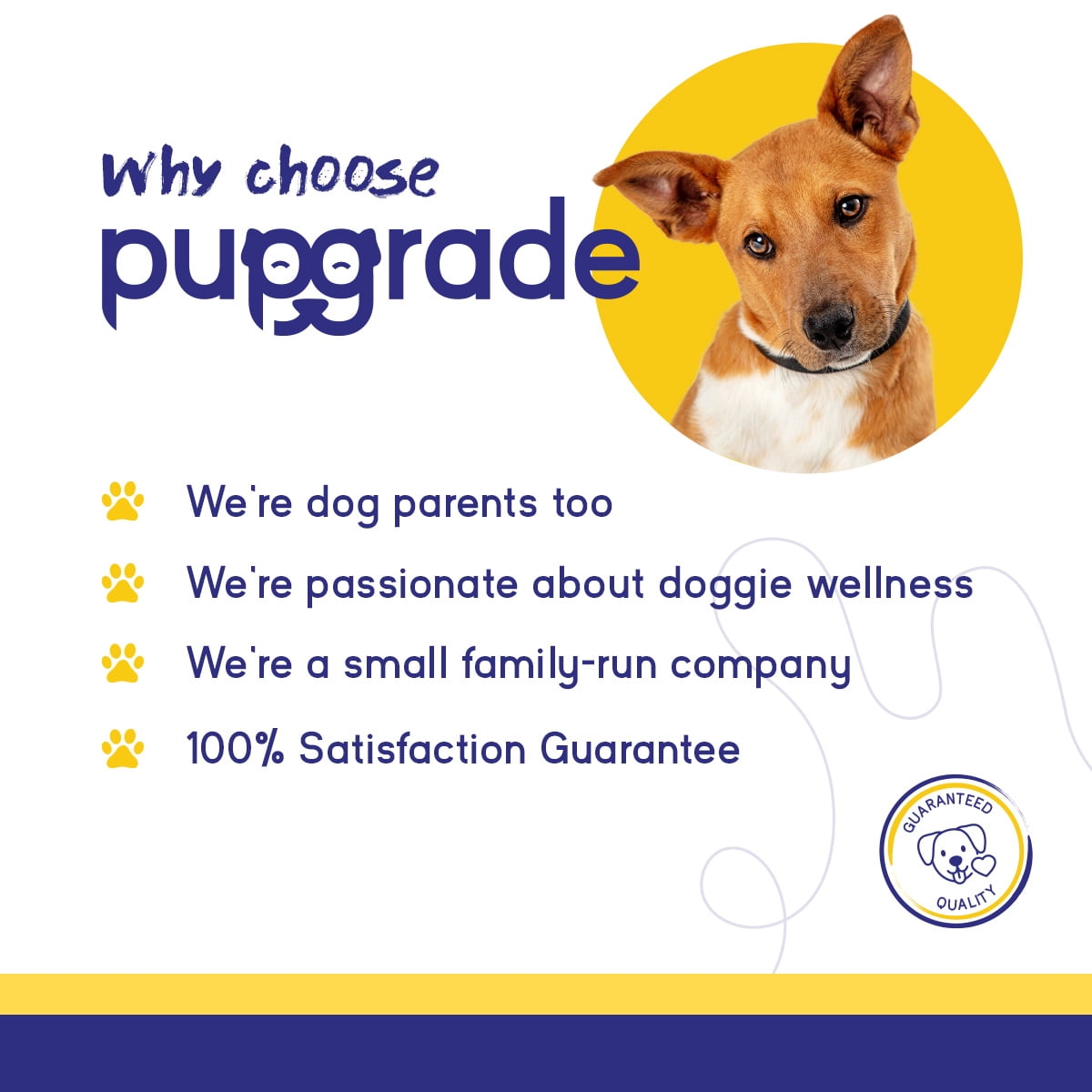 PupGrade Skin & Coat Soft Chews for Dogs, Omega-3 & Antioxidants, 60 Count