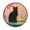 Black Cat and Goldfish Bowl, variant on 36.2 Inch Round Floor Mat A Large Group Of Dogs Carpet Decor Rug for Living Room Bedroom