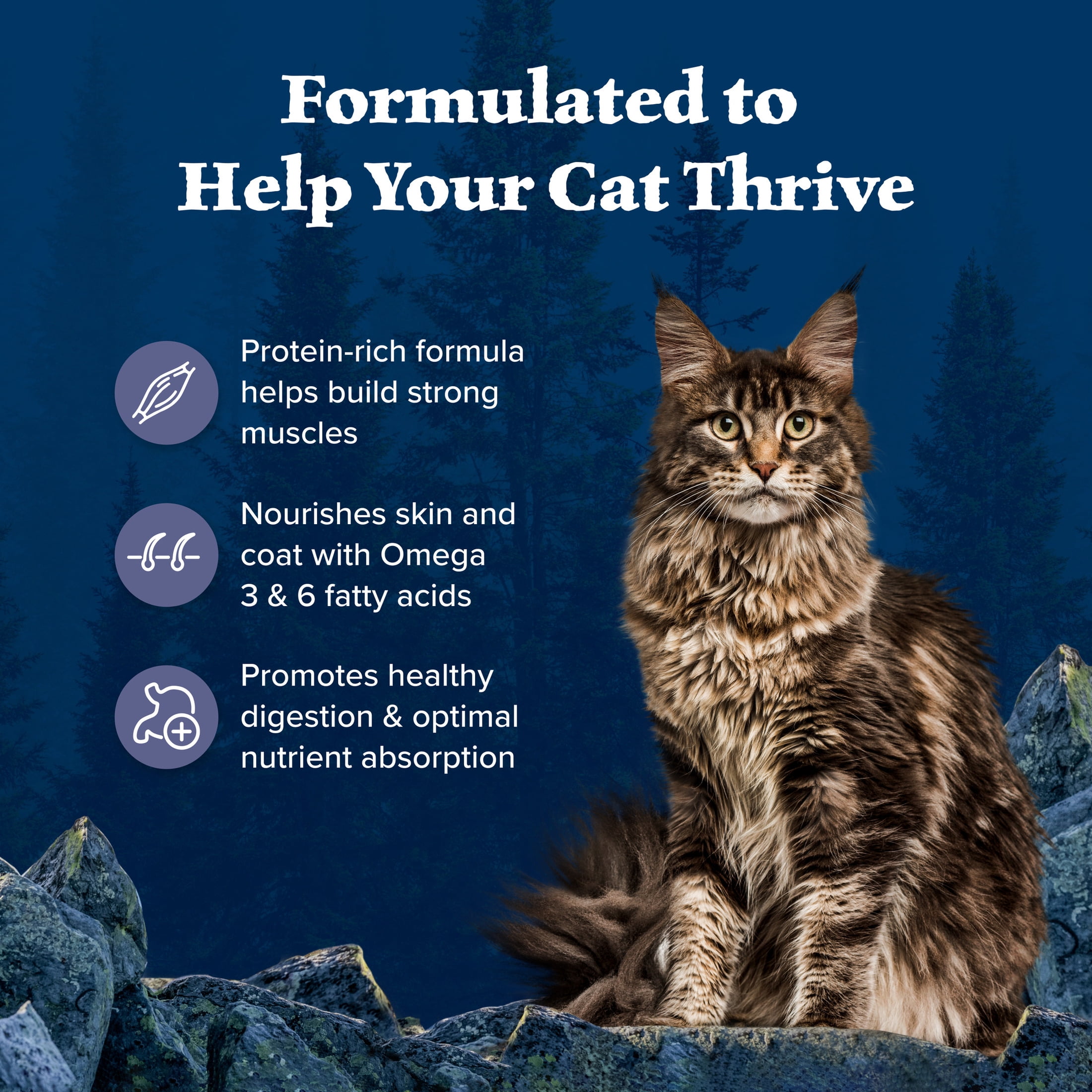 Blue Buffalo Wilderness Natural High-Protein, Grain-Free Dry Cat Food, Chicken, 9.5-lb. Bag