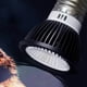thumbnail image 2 of 5X 110V Reptil Luz UVB Ahorro de Energía Protección Ocular Lámpara LED Pro Tortuga Melena León Lámpara Ultravioleta de Calcio Sol, 2 of 6