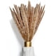 thumbnail image 4 of Fluffy Pampas Grass Dried 15 piezas - Flores secas - Natural, sostenible y fácil de limpiar - Decoración elegante Ormromra MZQ-0839-1, 4 of 8