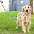 thumbnail image 3 of Methold Cuerda de entrenamiento para perros: corrige los malos hábitos Agarre apretado y explosivo Cómoda cuerda de entrenamiento para Suministros para perros aurato, 3 of 6
