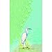 thumbnail image 3 of Betsy Drake KT025 Serviette de Cuisine à l'Aigrette Enneigée, 3 of 3