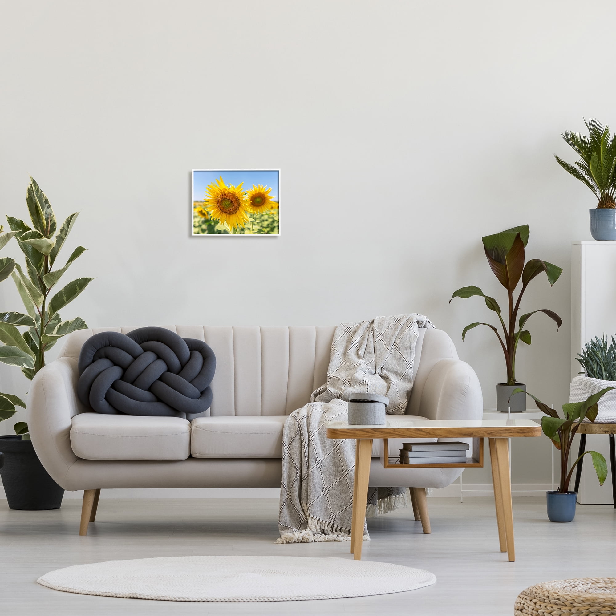 Stupell Industries Sunflower Florals in Sunny Blue Farm Field Botanical & Floral Photography White Framed Art Print Wall Art, 11 x 14