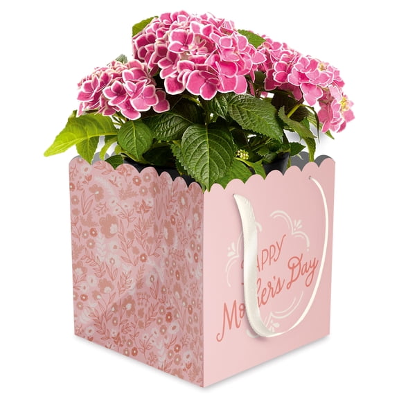American Greetings 7 in. Mother's Day Flower Pot Gift Bag, Happy Mother's Day (1-Count)