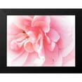 thumbnail image 2 of Bane, Eva 18x15 Black Modern Framed Museum Art Print Titled - Pretty Pink Blooms IV, 2 of 5