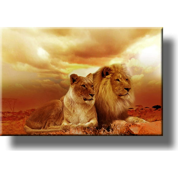 Lion and Lioness Picture on Stretched Canvas Wall Art Decor, Ready to Hang!