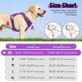 thumbnail image 3 of Jewyow No Pull Dog Harness - Dog harness for small dogs,Reflective Adjustable Pet Vest with Handle & Breathable Mesh,Purple, XS, 3 of 9