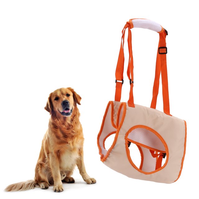 Eslinga de soporte para perros ANGGREK Cinturón auxiliar para perros Tela Oxford