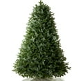 thumbnail image 3 of AMERZEST Christmas Tree 9ft Premium Fraser Fir Artificial Christmas Tree, Hinged Fraser Spruce Xmas Tree No Lights, Feel Real Christmas Full Tree, 3 of 6