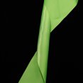 thumbnail image 3 of 2Pack Kids Dance Props Gymnastics Ribbon 9.2x2.4x0.4in, 3 of 9
