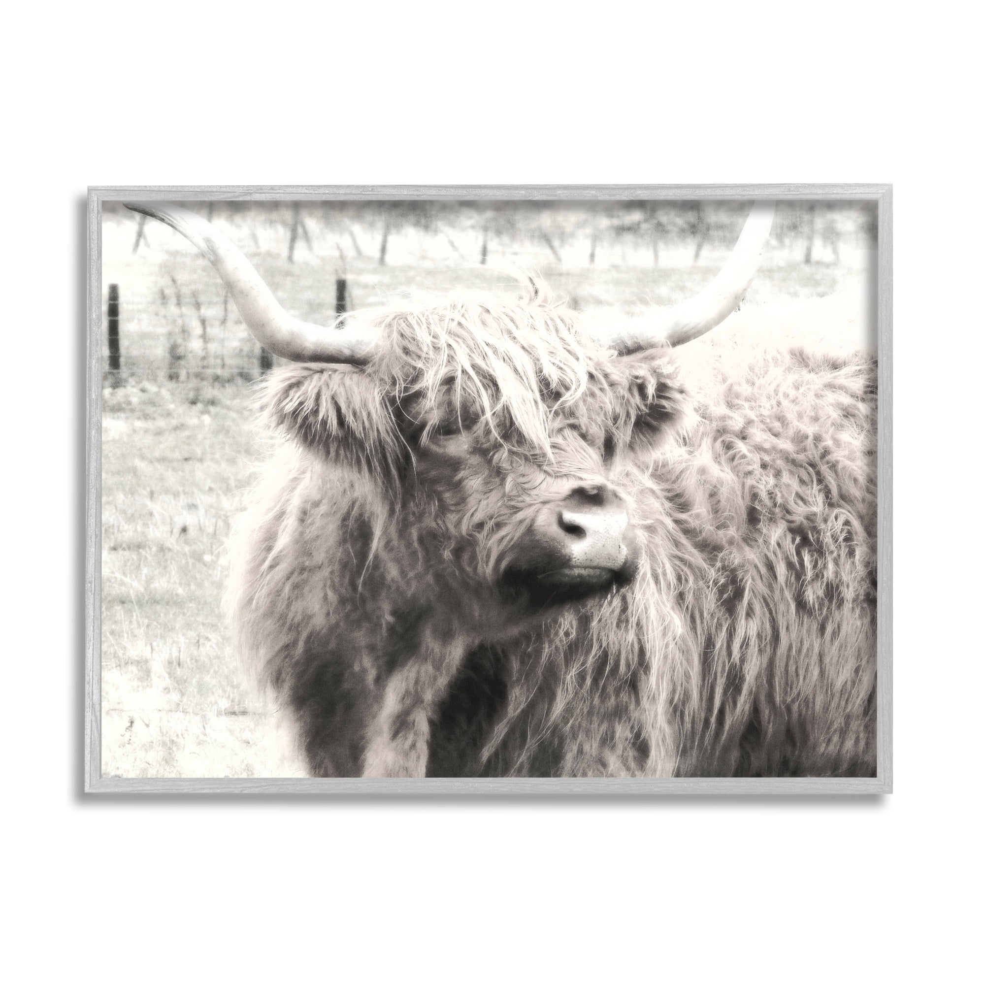 Stupell Industries Rustic Farm Highland Cattle Cow Monochrome Photography Photograph Gray Framed Art Print Wall Art, Design by Graffitee Studios