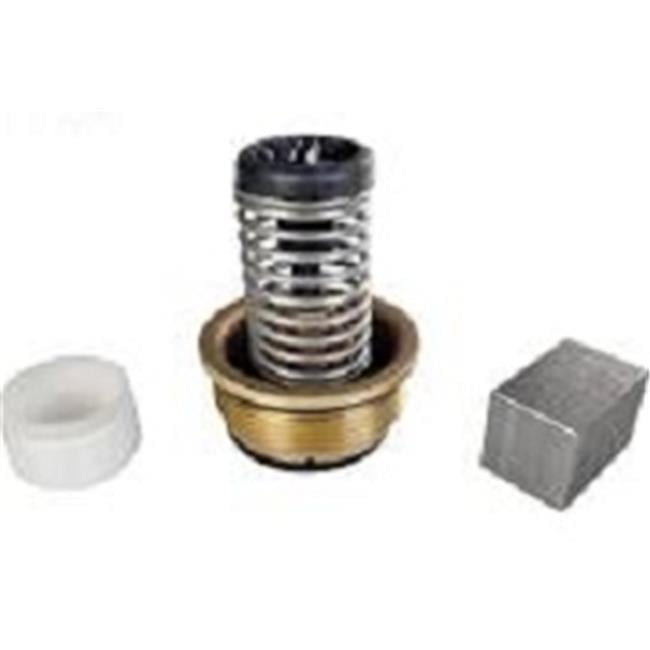Pentair Bypass Valve Kit for MaxEThermMasterTemp ASME 460923