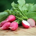 thumbnail image 3 of HJADGG 350 Lady Slipper Radish Seeds – Raphanus Sativus Long Red Pink Radish French Breakfast & Red Daikon Style Heirloom Vegetable Seeds for Planting Grow at Home Garden, 3 of 4
