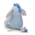 thumbnail image 5 of Disney Baby Winnie the Pooh & Friends Eeyore Plush, 5 of 6
