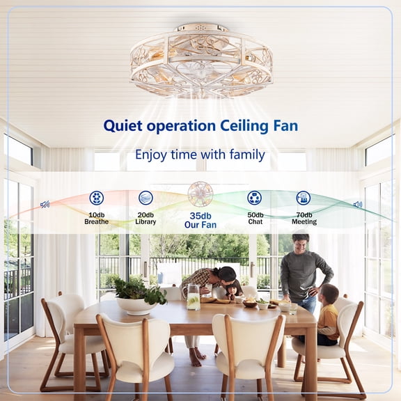 20'' Mounting Type Caged Ceiling Fan with Lights and Remote Control ,Reversible Motor, DC Remote Control,6 Speed Ceiling Fan,Timing, for Living Room, Bedroom, Dining Room--NOT Included Bulbs (WH)