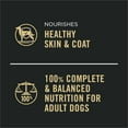 thumbnail image 4 of Purina Pro Plan Complete Essentials Classic Pate Dog Food, Beef and Rice Entrée, 13 oz Can ( 1 Pack), 4 of 8