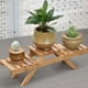 thumbnail image 3 of Estante de madera plegable de 2 niveles para macetas, flores y plantas, para jardín, 3 of 13
