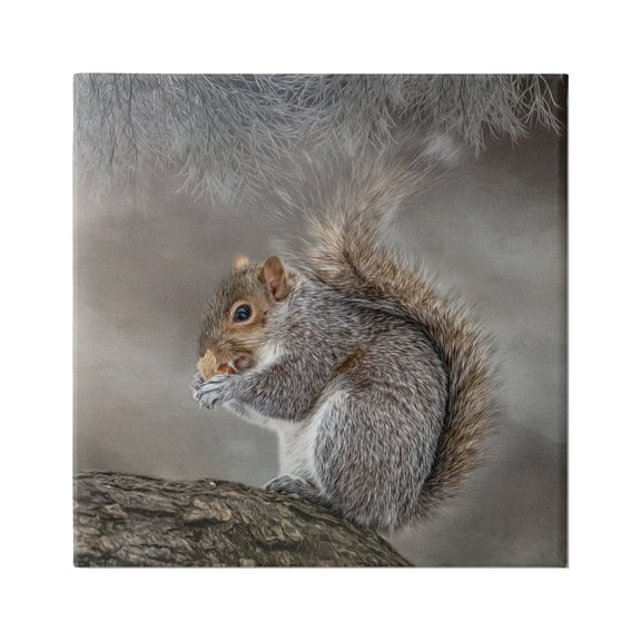Stupell Woodland Wildlife Squirrel Photography Animals & Insects Photography Gallery Wrapped Canvas Print Wall Art