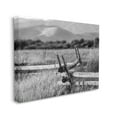thumbnail image 3 of Stupell Industries Countryside Ranch Fence Rural Pasture Grass Photography Photograph Gallery Wrapped Canvas Print Wall Art, Design by Steve Smith, 3 of 7