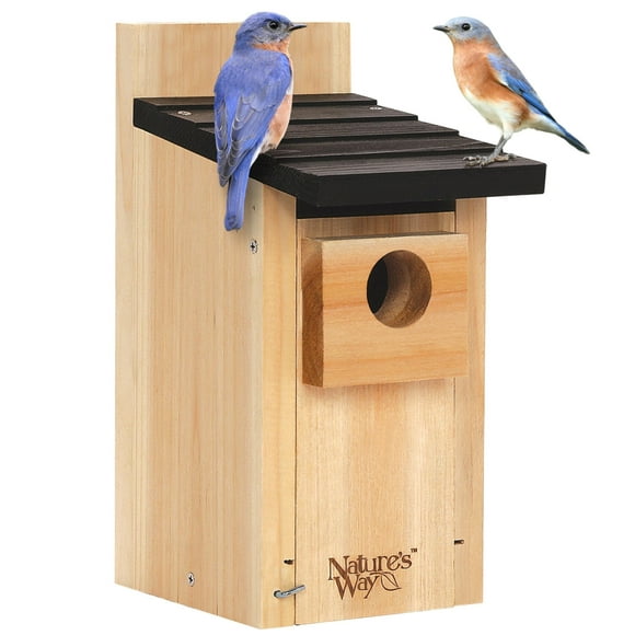 Nido Bird House Nature's Way CWH3 con forma de cedro y pájaros azules