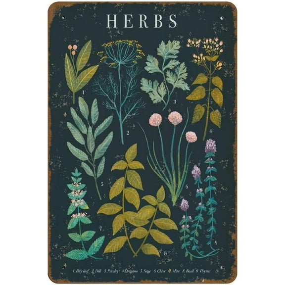 5.5x8 Inch Printable Herbs Wall Art Botanical Dining Room Kitchen Wall Art Kitchen Decor Farmhouse Wall Art Garden Lovers Herb Garden Novelty Tin Metal Sign Plaque Bar Pub Vintage Retro Wall Decor