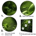 thumbnail image 3 of Designart "Tranquil Herbs Of Nature" Herbs Wall Art Prints, 3 of 7