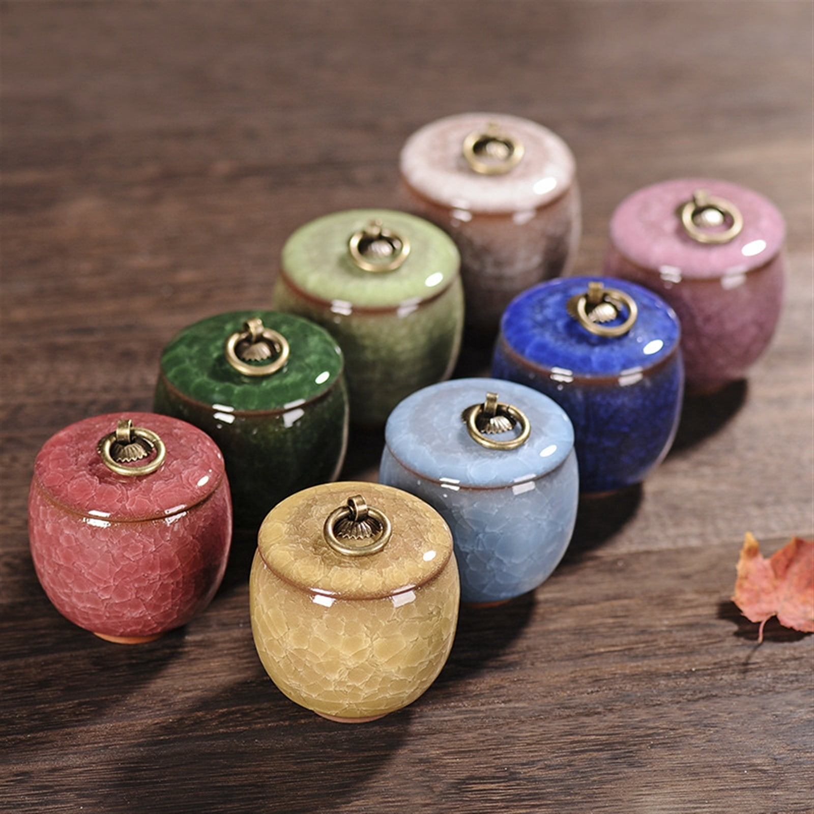 Ceramics Ash Urn Sealed Cremation Funeral Ashes Keepsake Small Animals Pet Dog Cat Memorial Suitable Home Fireplaces Burial 23871