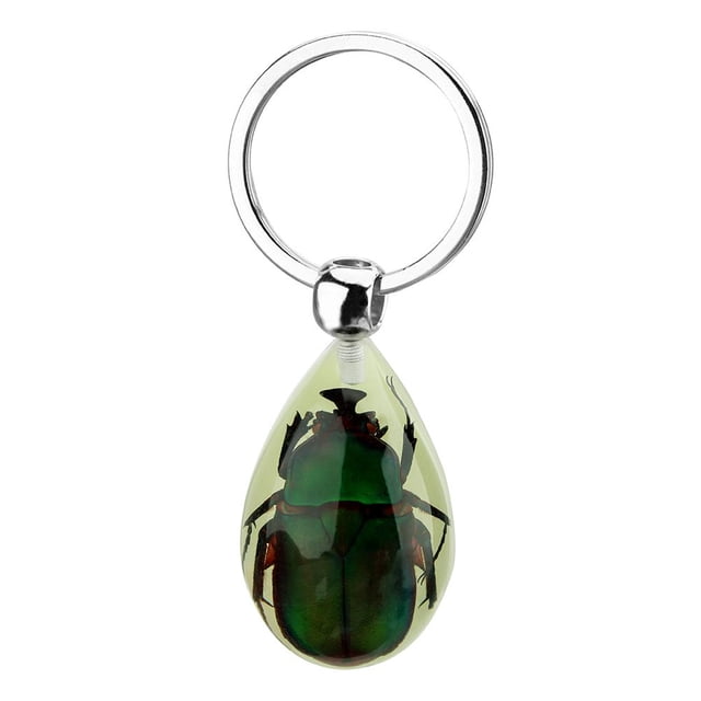 Forma De Insecto Brillante, Llavero Con Especímenes De Animales, Regalo Coleccionable De Resina Para Amigos Y Familiares Scienceny HA044516-01