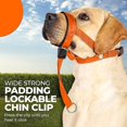 thumbnail image 5 of Dog Head Halter With Safety Strap, Dog Head Collar With Reflective Strap, No-pull Dog Collar Adjustable Dog Harness Training, 5 of 5