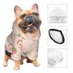 thumbnail image 3 of Balery Strawberries Sudadera con Capucha para Perros Pequeños – Ropa para Mascotas, Disfraz para Perros y Gatos, Ideal para Fiestas y Cosplay-Medium, 3 of 7