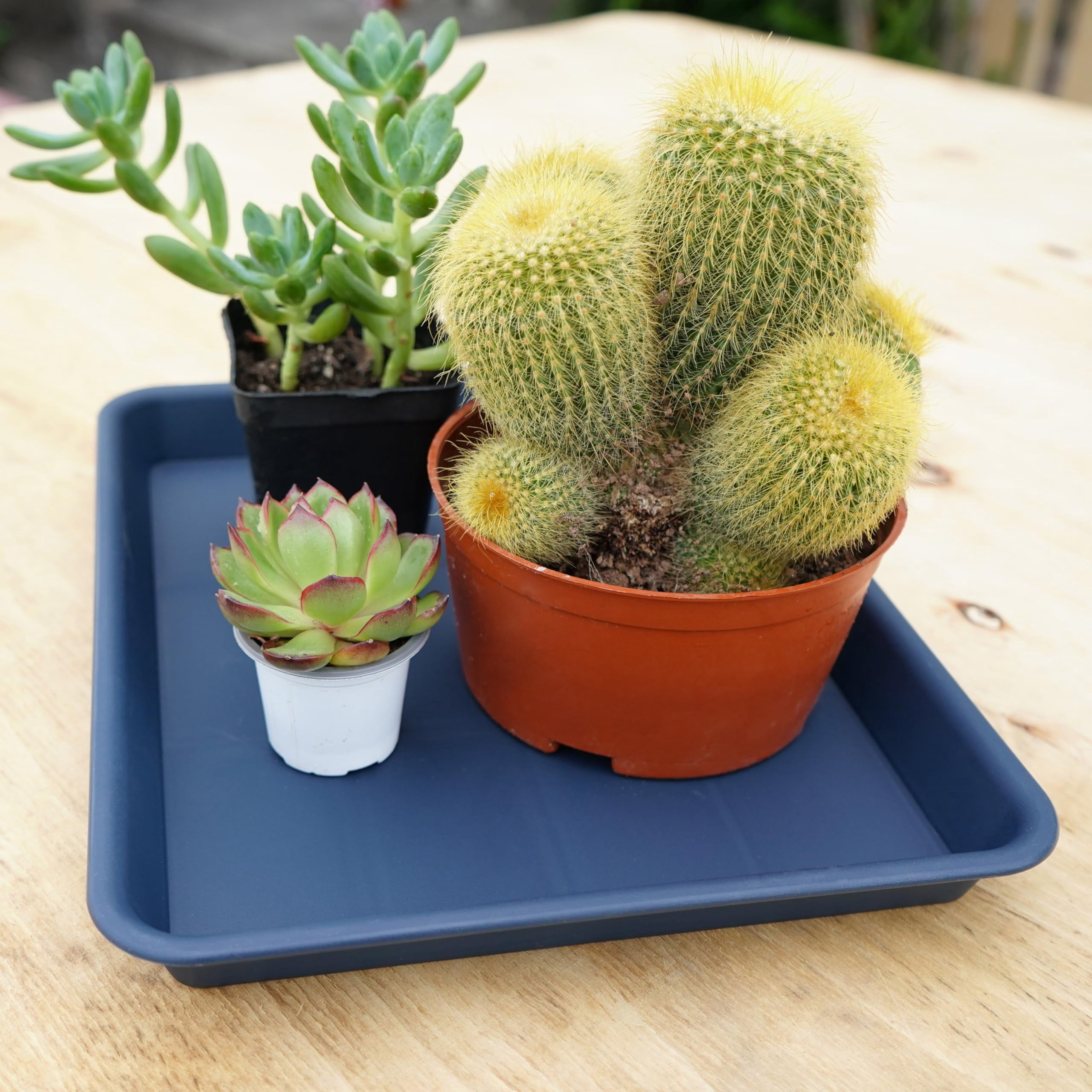 Plant Saucer Growing Tray Set 2-Pack 11x9 Inch Heavy Duty Plastic Seed Starter Trays with Drainage for Indoor Outdoor Pots Gardening Supplies
