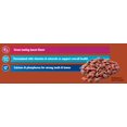 thumbnail image 4 of Ol' Roy Bacon Flavor Dry Dog Food, 20 lb, 4 of 11