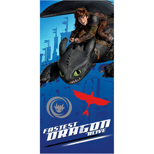 DreamWorks How To Train Your Dragon 2 28" x 58" Beach Towel, 1 Each