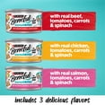 thumbnail image 6 of Purina Beneful Small Breed Wet Dog Food Variety Pack, IncrediBites Loaf, Chicken,&nbsp;Beef&nbsp;and&nbsp;Salmon&nbsp;Flavors, 3 oz., 6 of 13