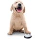 thumbnail image 2 of Paquete de 2 timbres para perros (7*4cm), campanas para perros de alta calidad para adiestramiento en el baño de la puerta, timbre para puerta para perros con botón grande, 2 of 5