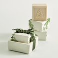 thumbnail image 2 of miduoduo-Bar Ensemble Savon et Vaisselle - 5.5 Oz - Sapin Plus Frais, 2 of 4