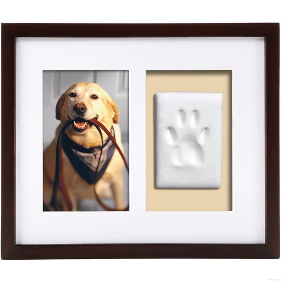 pearhead dog or cat paw prints pet wall frame with clay imprint kit, perfect pet keepsake espresso