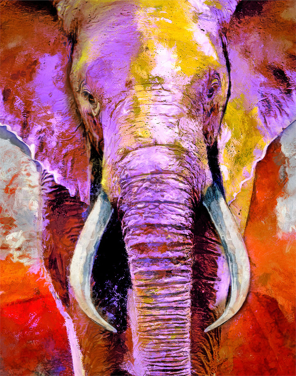 Royal & Langnickel 20pc Canvas Art Set - Elephant, Flowers, Cityscape
