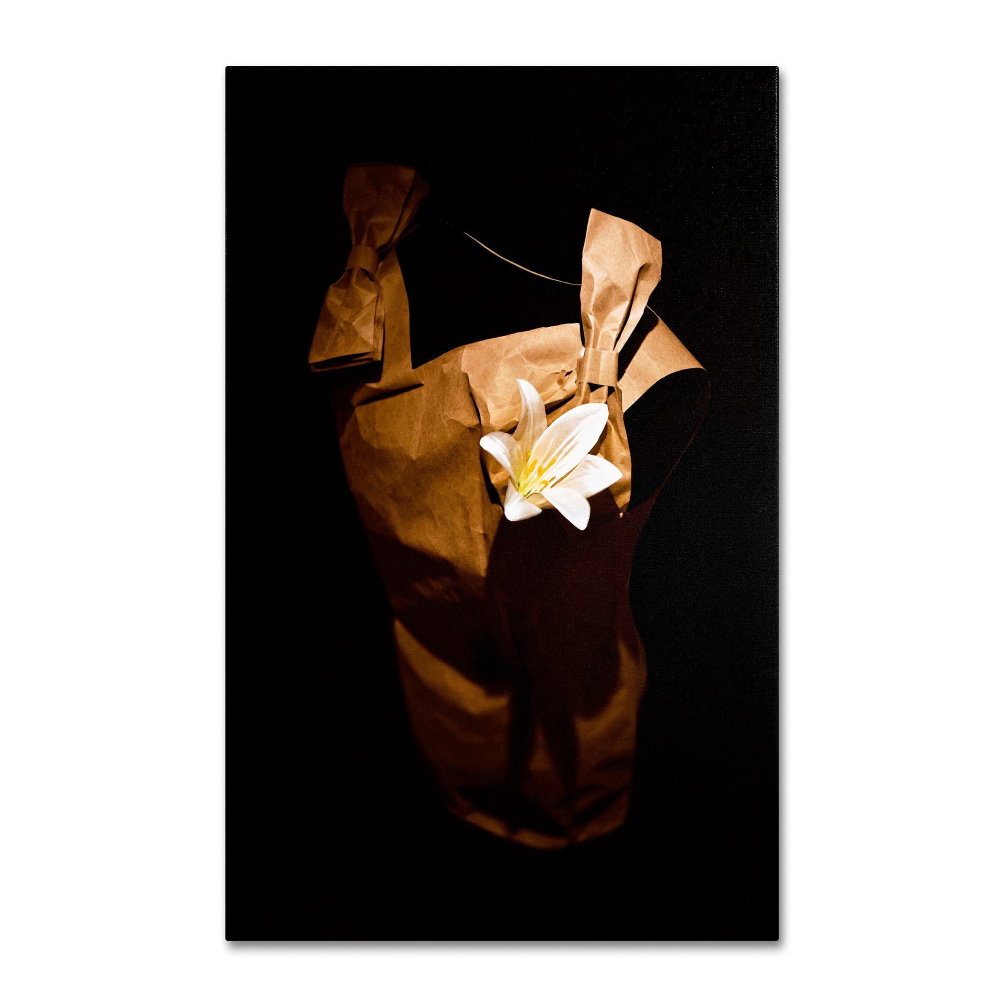 Trademark Fine Art "White Flower" Canvas Art by Roderick Stevens